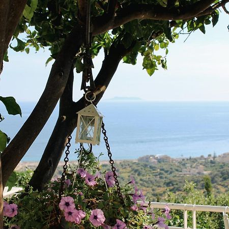 Aphrodite'S Garden Himare Exterior foto